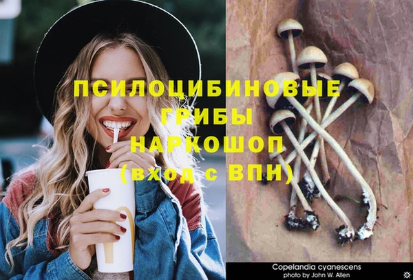 ECSTASY Елабуга